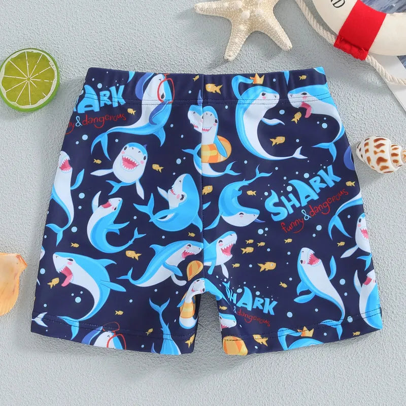 Toddler Boys Swim Trunks